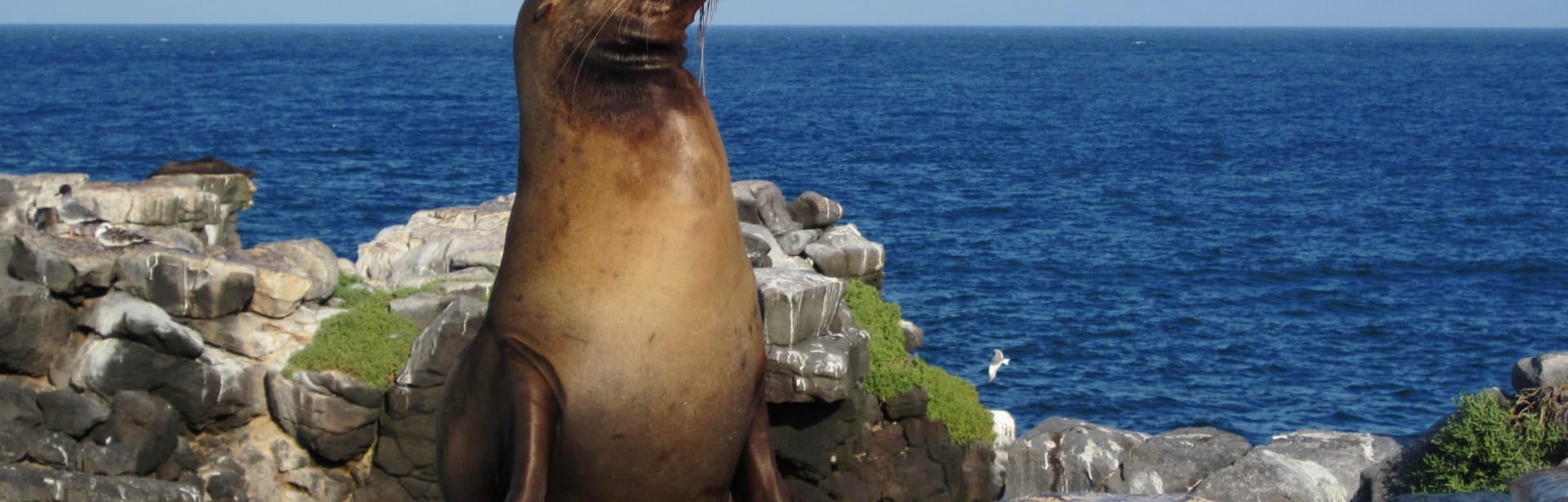 Galapagos Island Hopping 