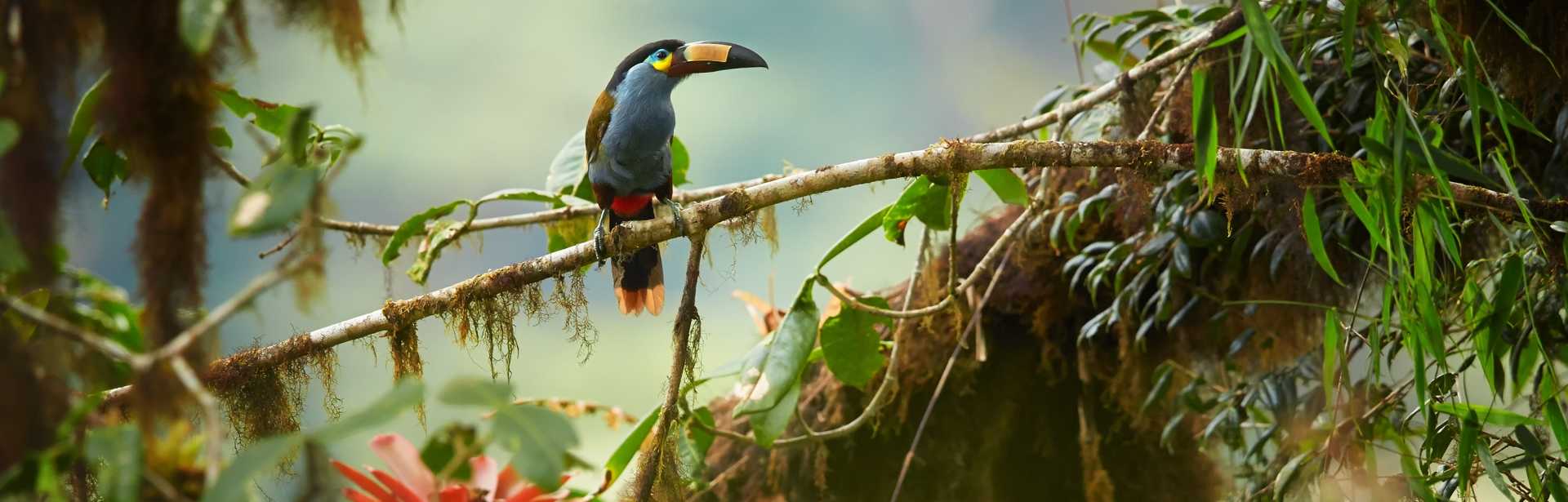 Epic Galapagos & Ecuador 