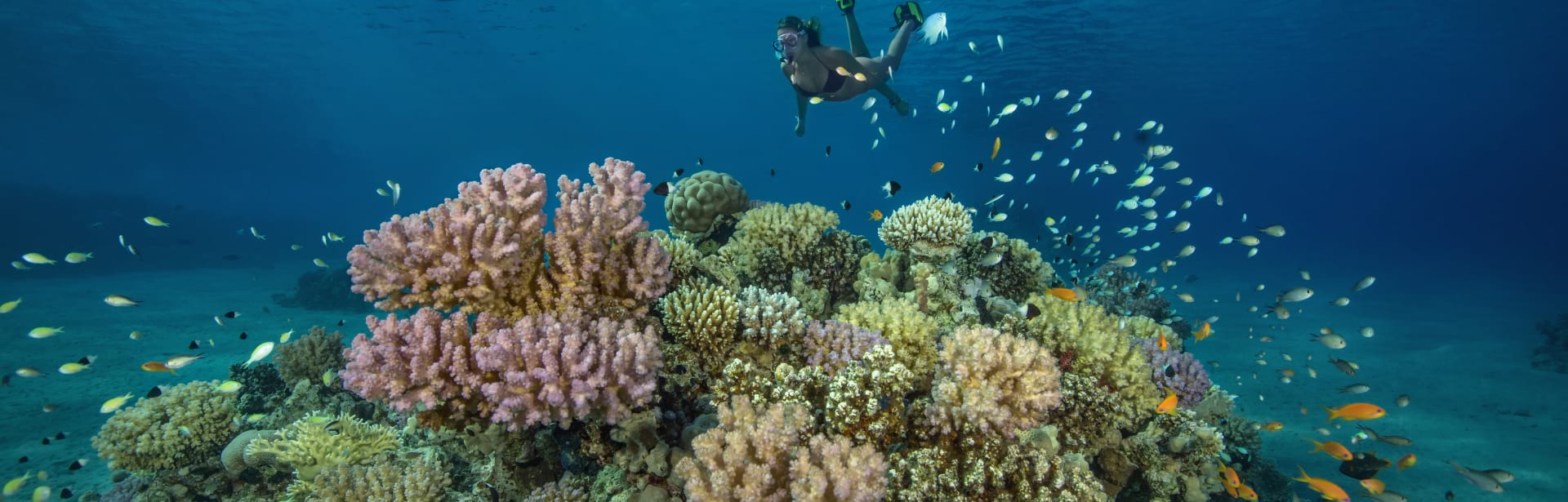 A Family Egyptian Adventure: From Pyramids to Reefs 