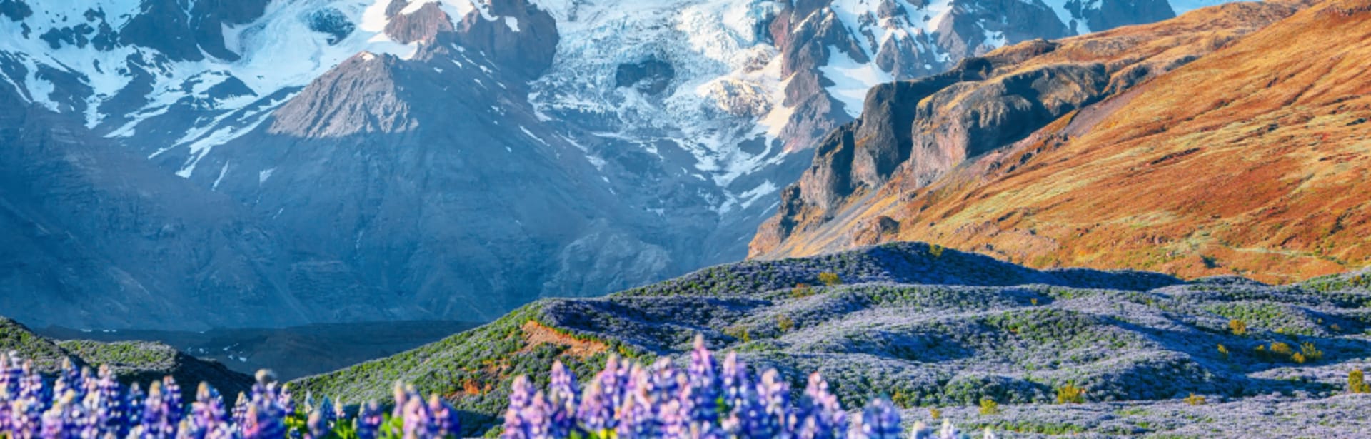Plan your Iceland trip today