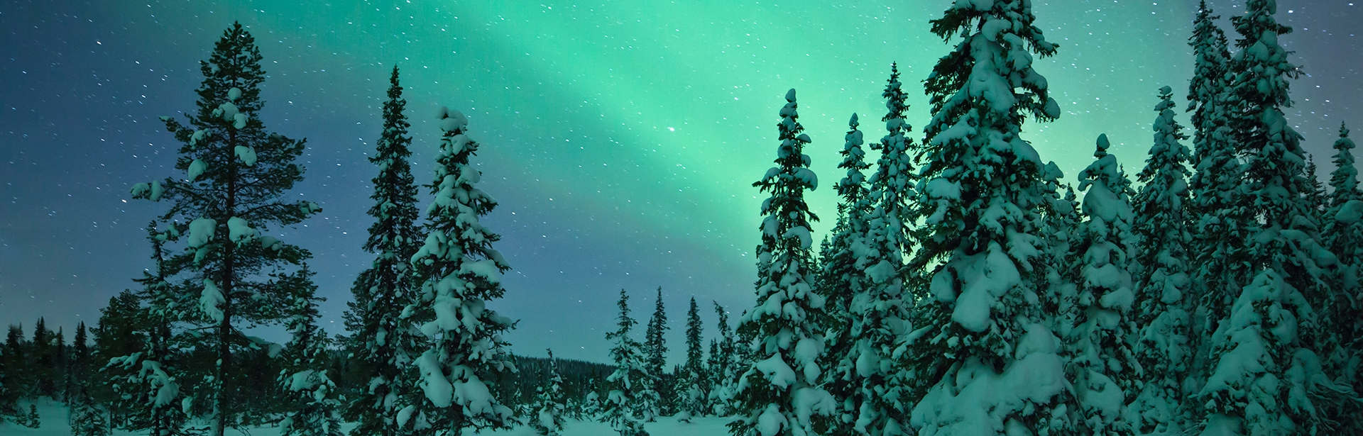 Plan your Sweden trip today