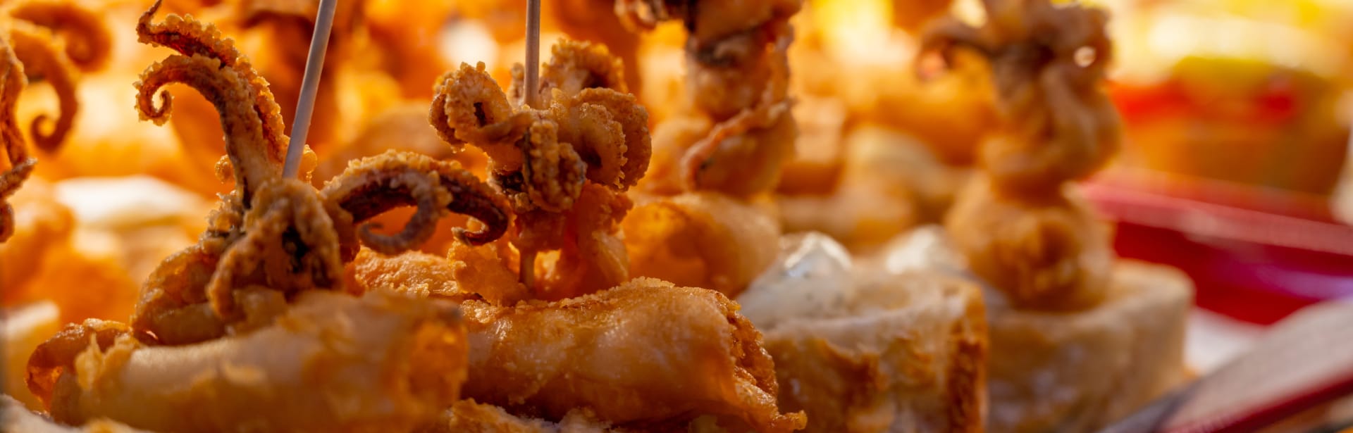 The Flavour Trail: Bordeaux & Basque Country 