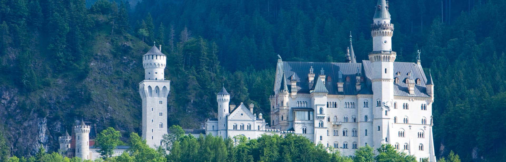 Focus: Castles & Forests in Germany 