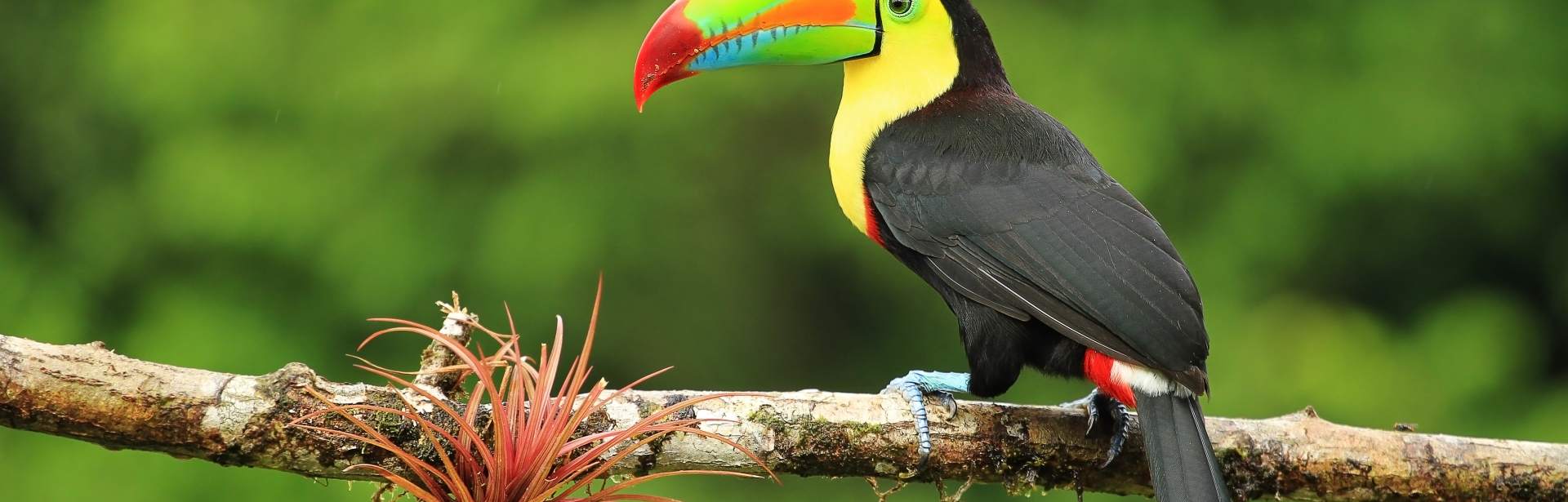 Plan your Central America trip today
