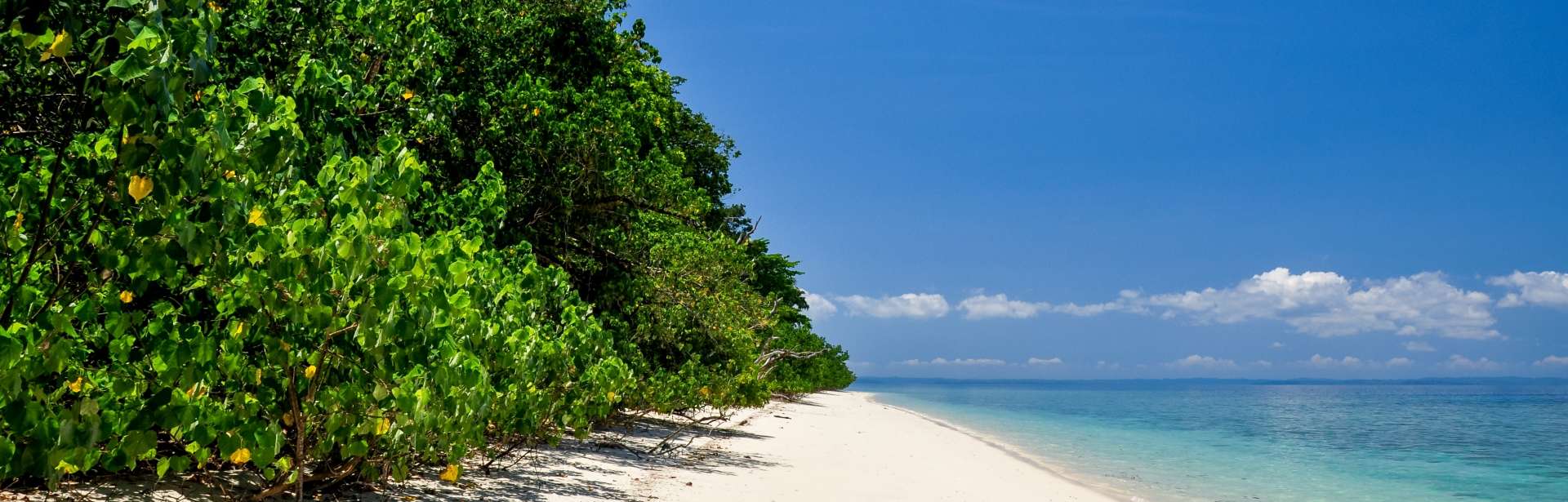 Beyond the Ordinary: Tamil Nadu & The Andaman Islands 