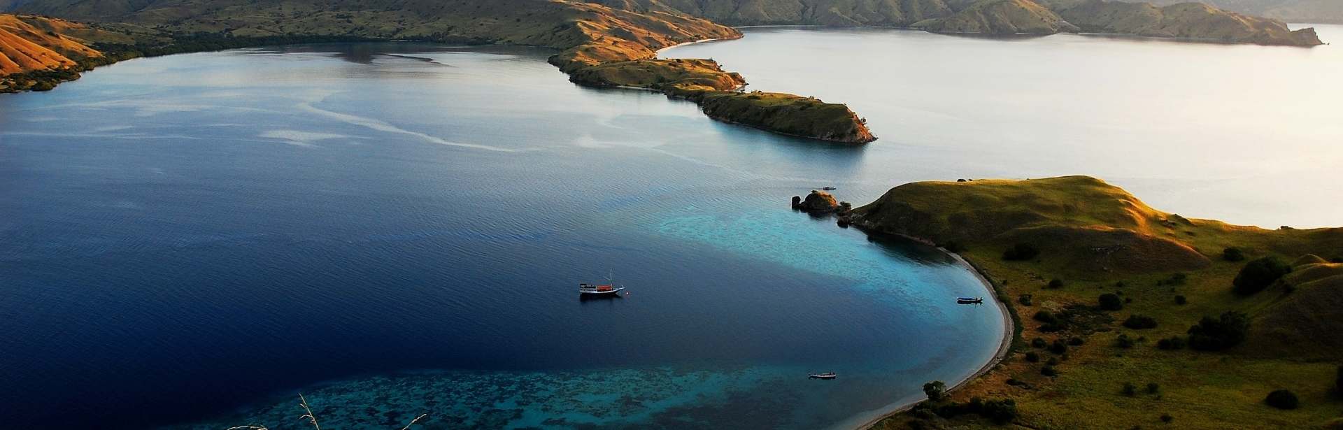 Limitless Indonesia 