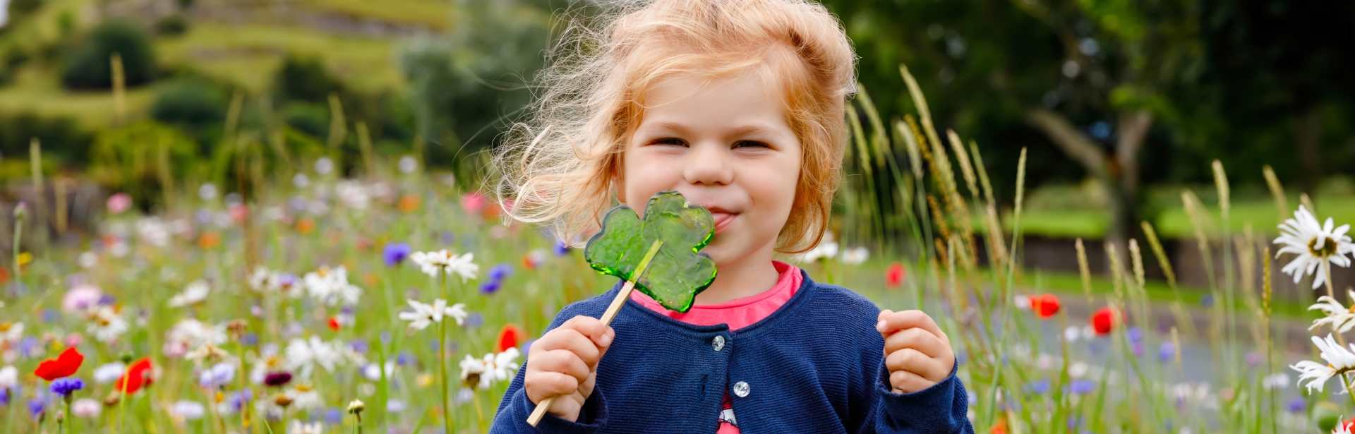Little Adventurers in Ireland 