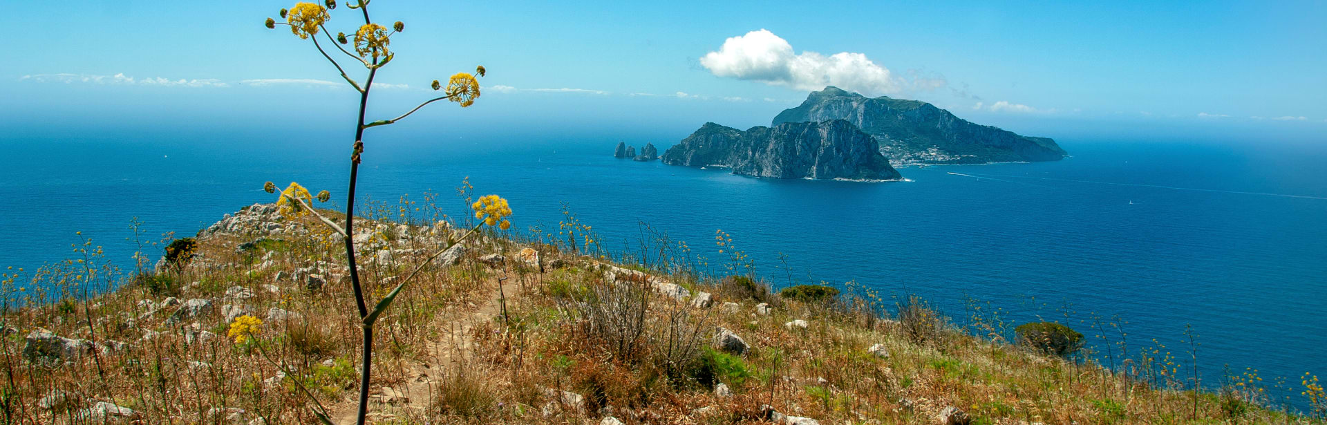 Wild Encounters: Italy 