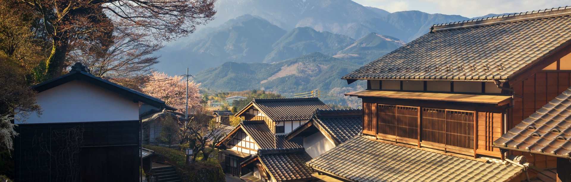Exceptional Japan 