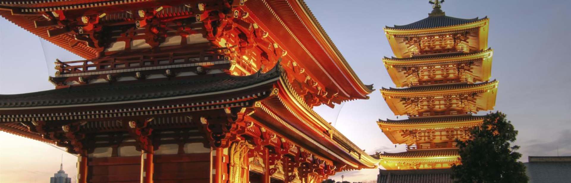 Beyond the Ordinary: Japan 