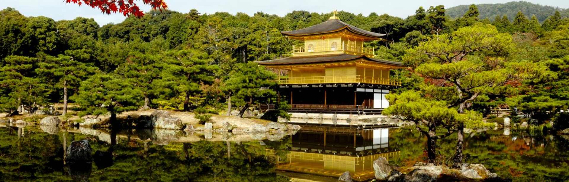 Japan with Kids 