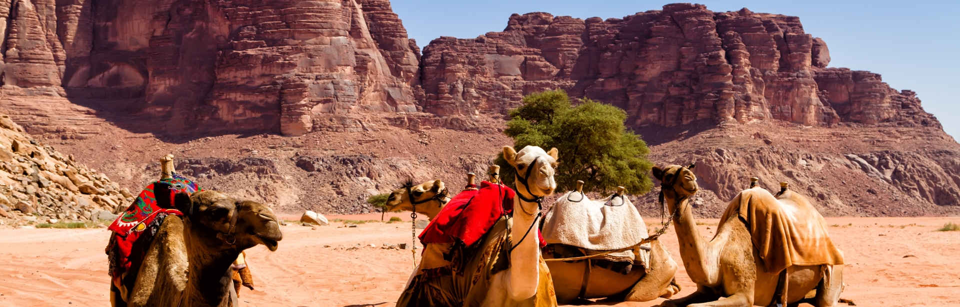Family Fun in Jordan 