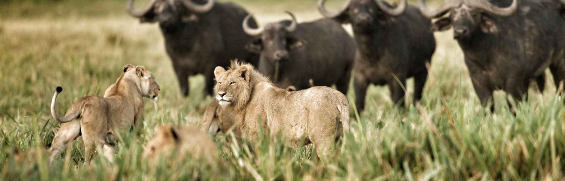Family Fun in Kenya 