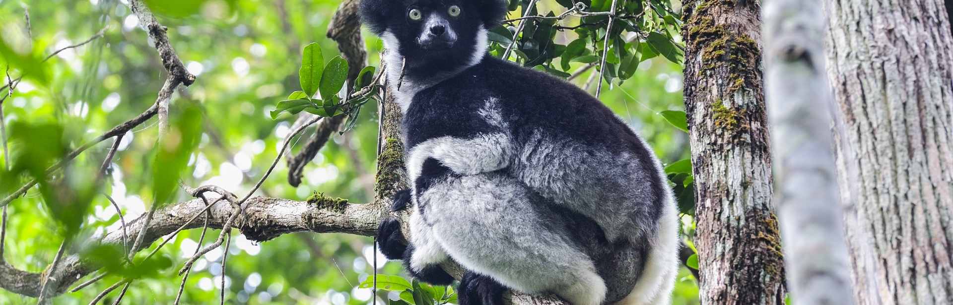Family Fun in Madagascar and Mauritius 