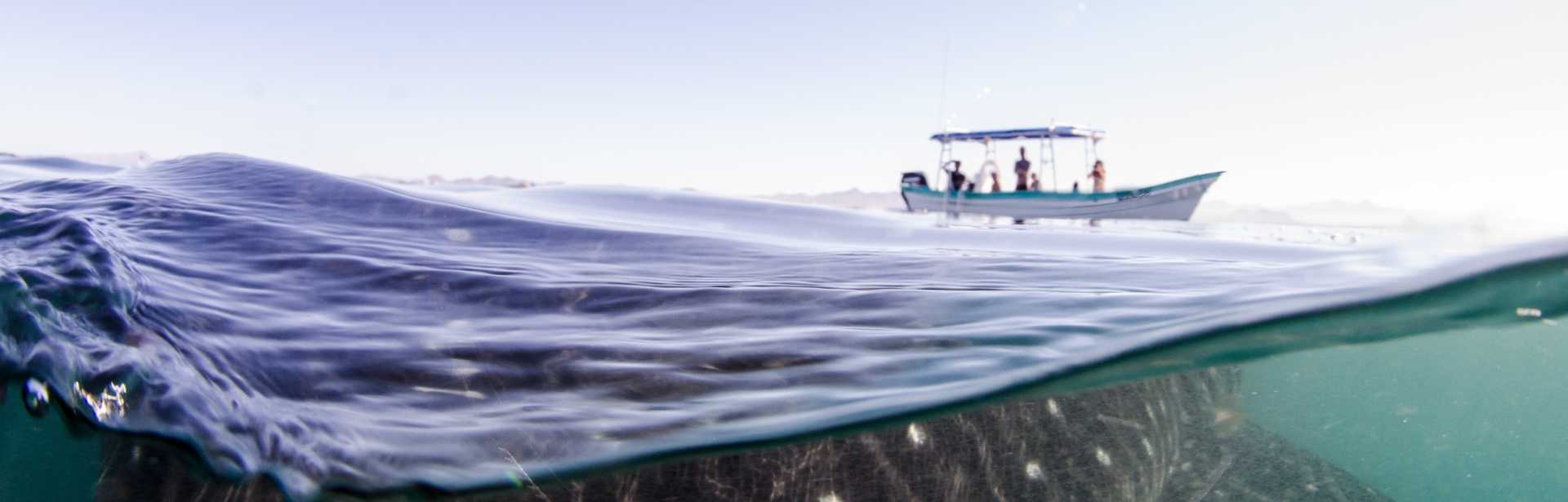 Epic Baja California 