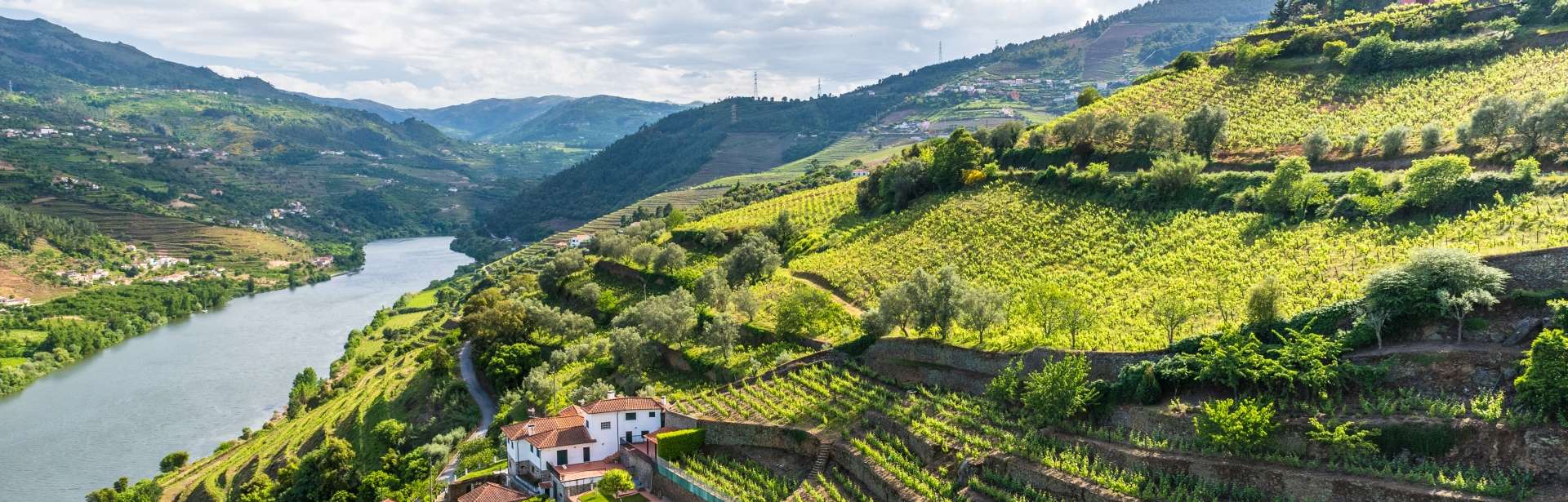 Perfect Pairings: Porto & Douro Valley 