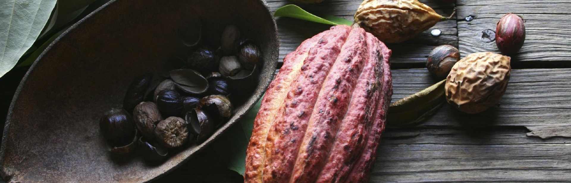 Caribbean Culinary Odyssey: St. Lucia & Grenada 