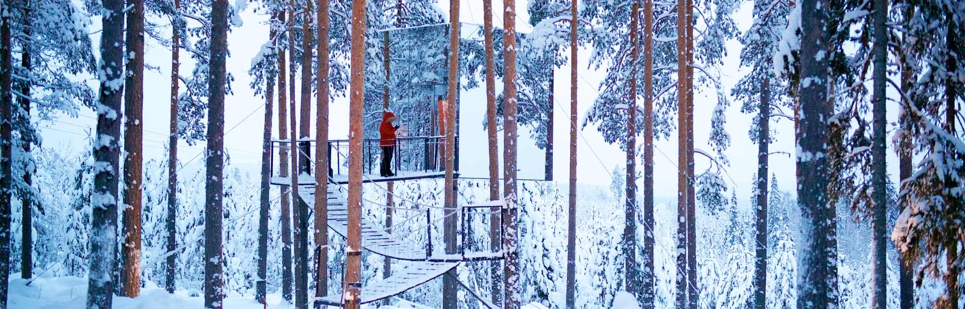 Epic Swedish Lapland 