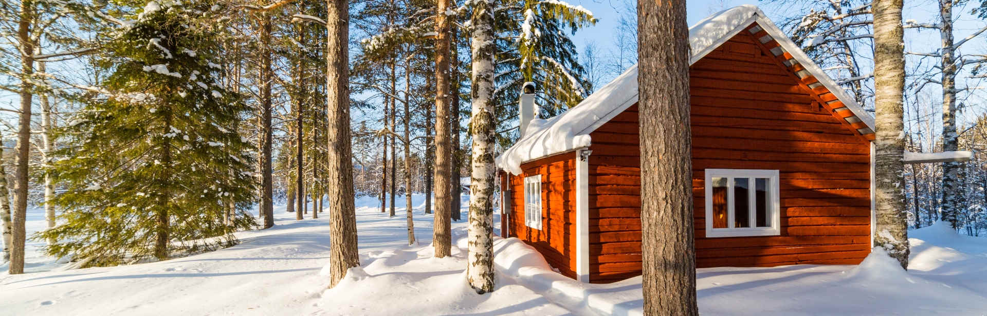 Honeymoon in Swedish Lapland 