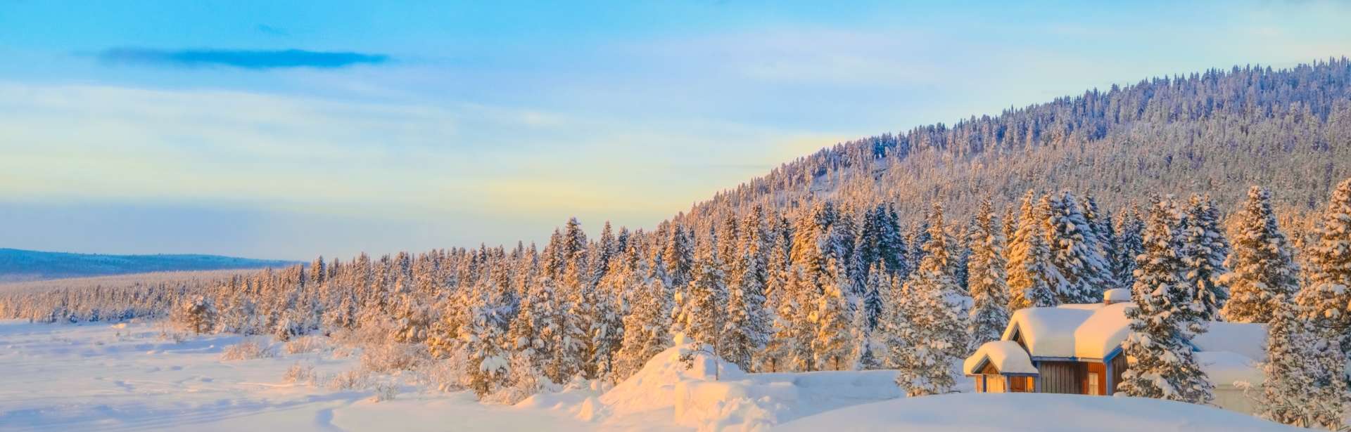 Ultimate Swedish Lapland 