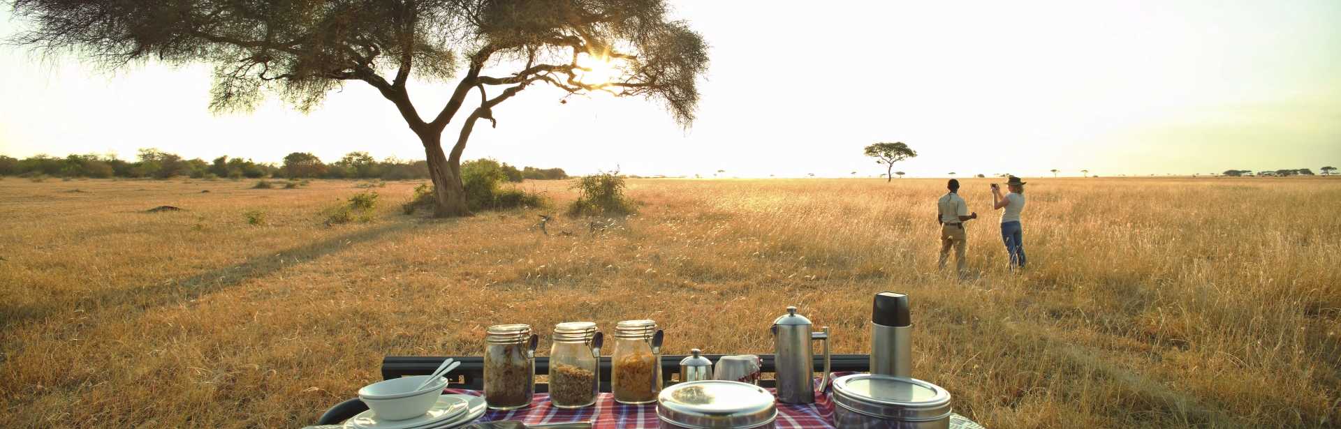 Highlights of Tanzania and Kenya 