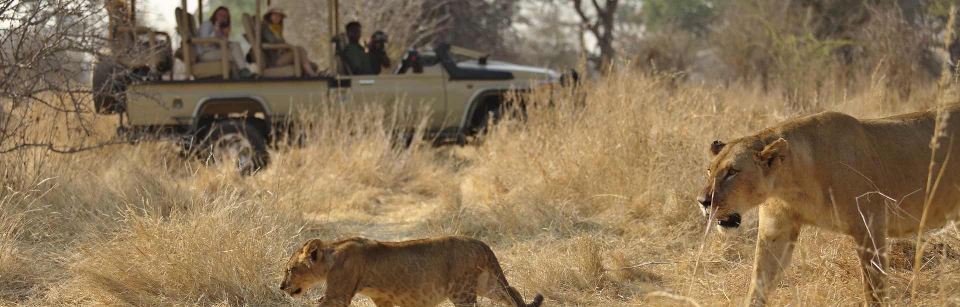 Tanzania Uncovered 