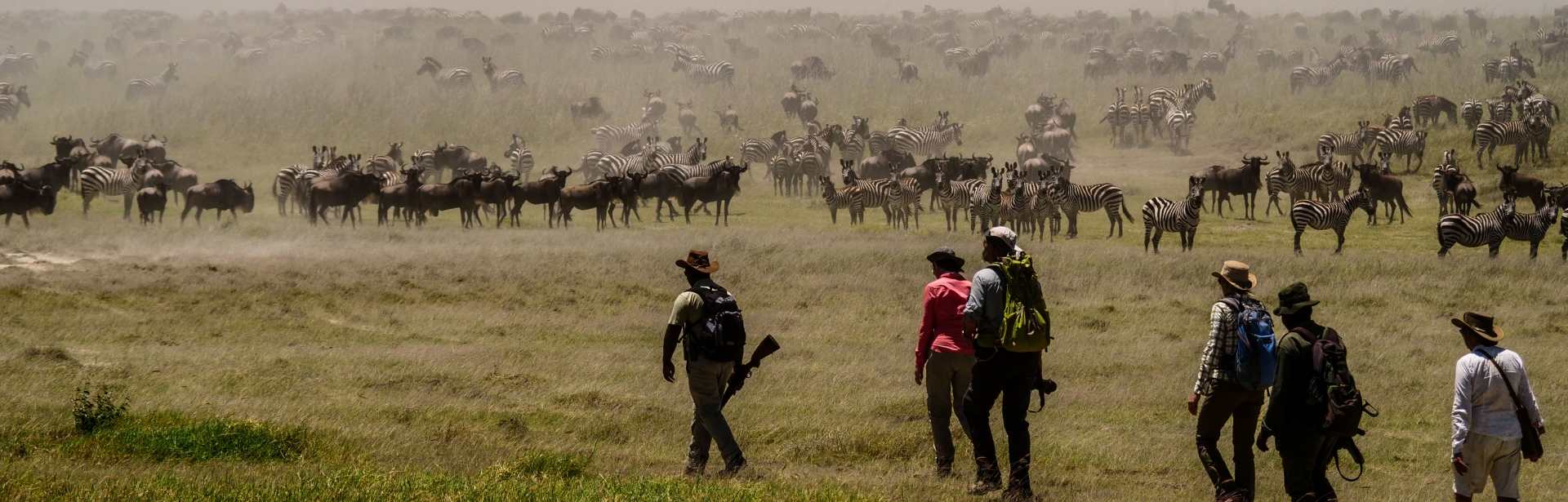 Walk with the Great Migration 