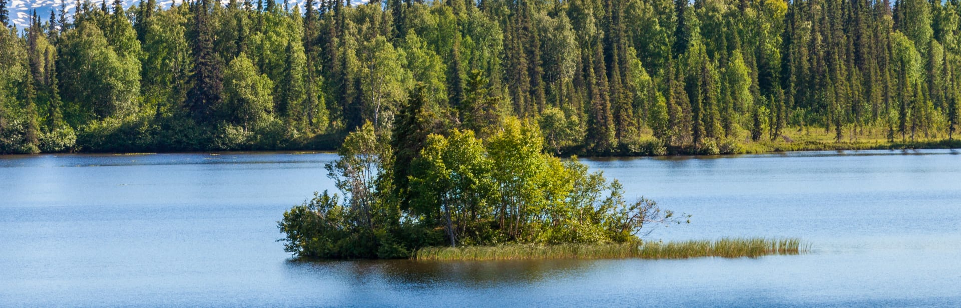 Alaskan Wilderness Retreat 