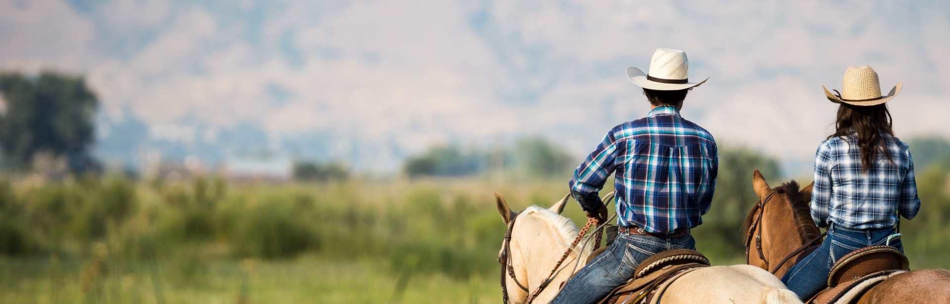Perfect Pairings: Jackson Hole & Yellowstone 