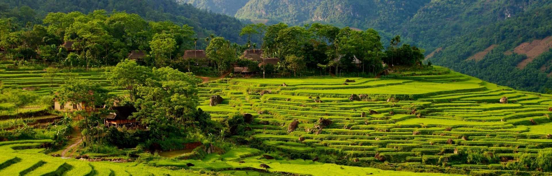 Limitless Vietnam 