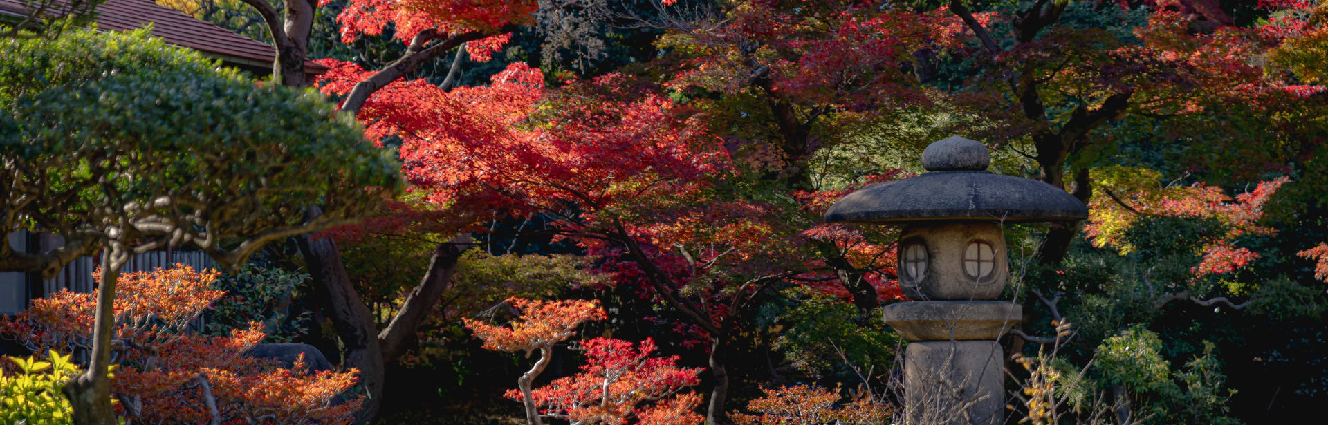 Japan's Golden Route by Rail: Cruise Extension 