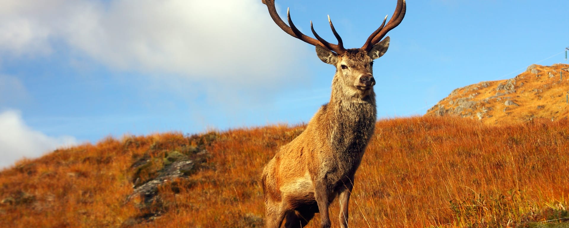 Highlands and Islands of Scotland
