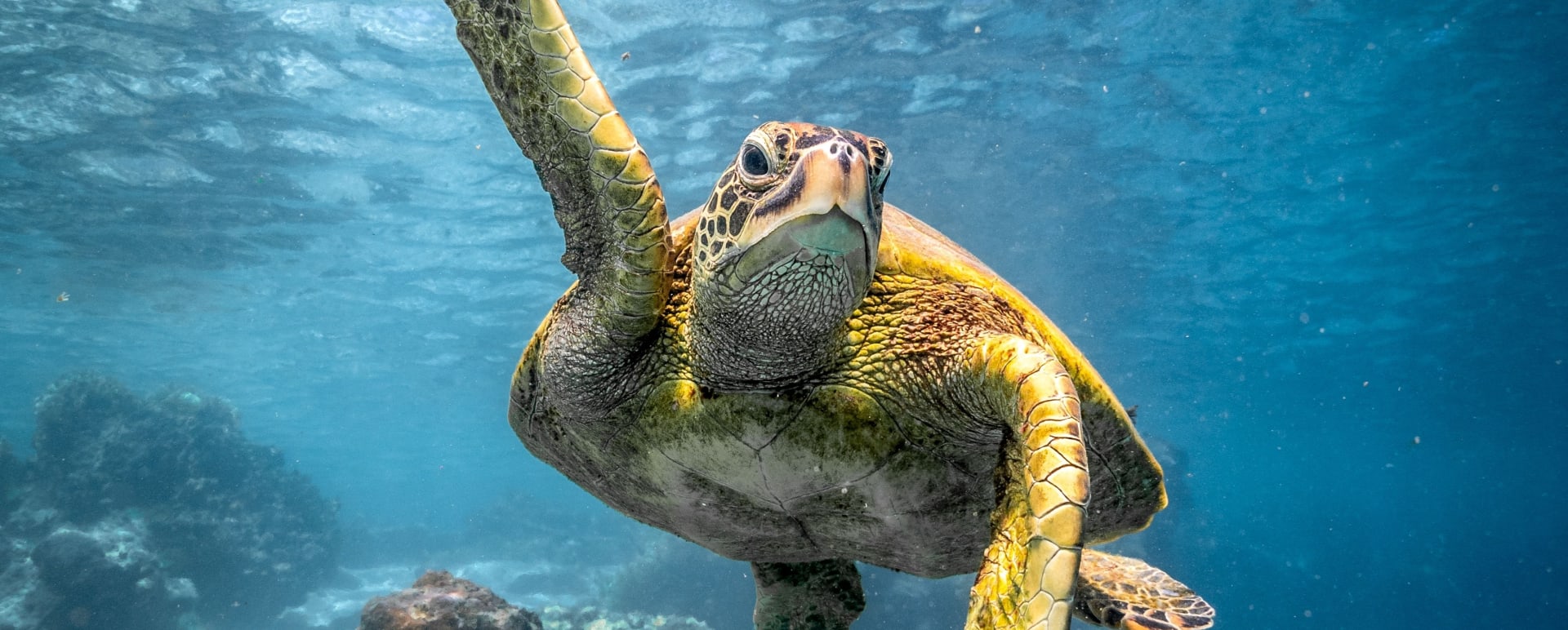 Lhaviyani Atoll