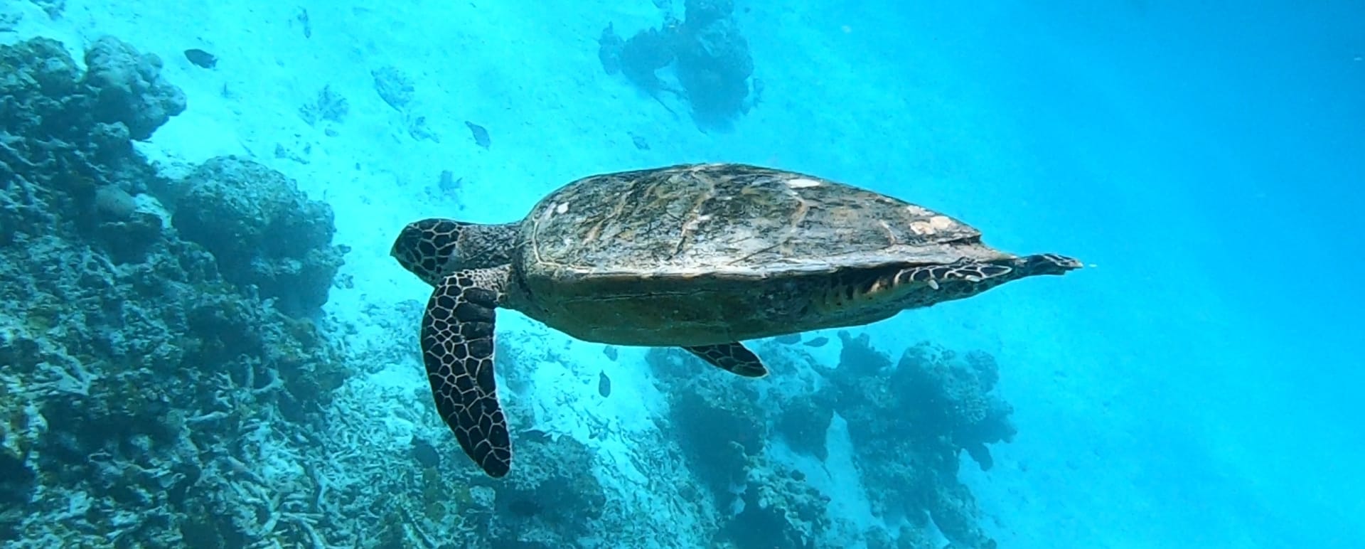Raa Atoll