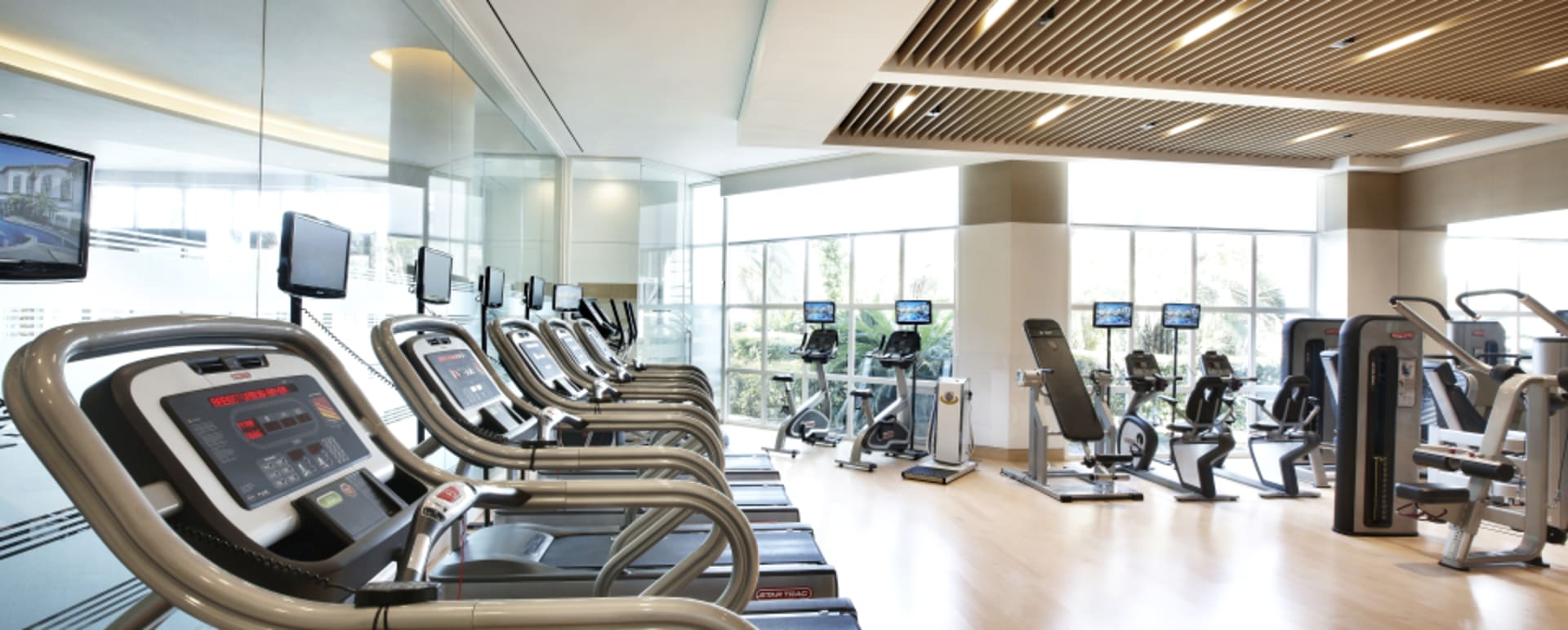 Gym   