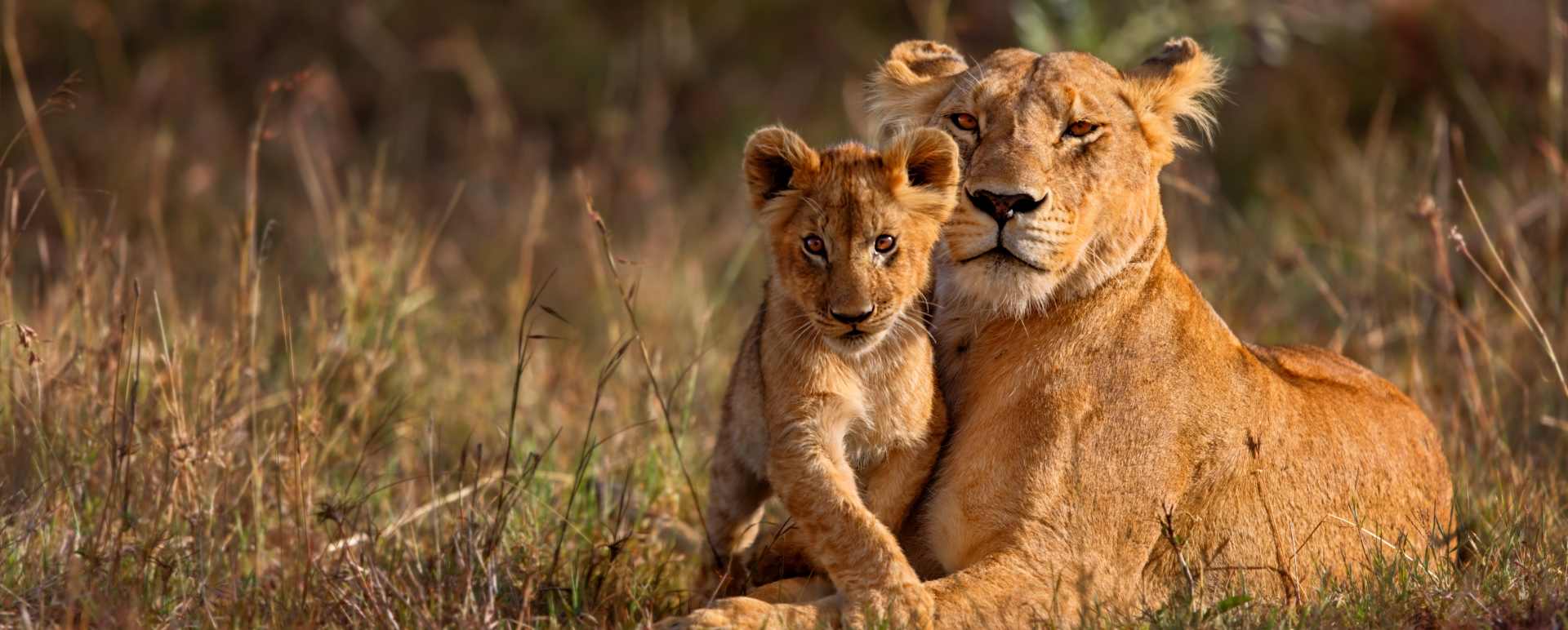Laikipia and Northern Kenya