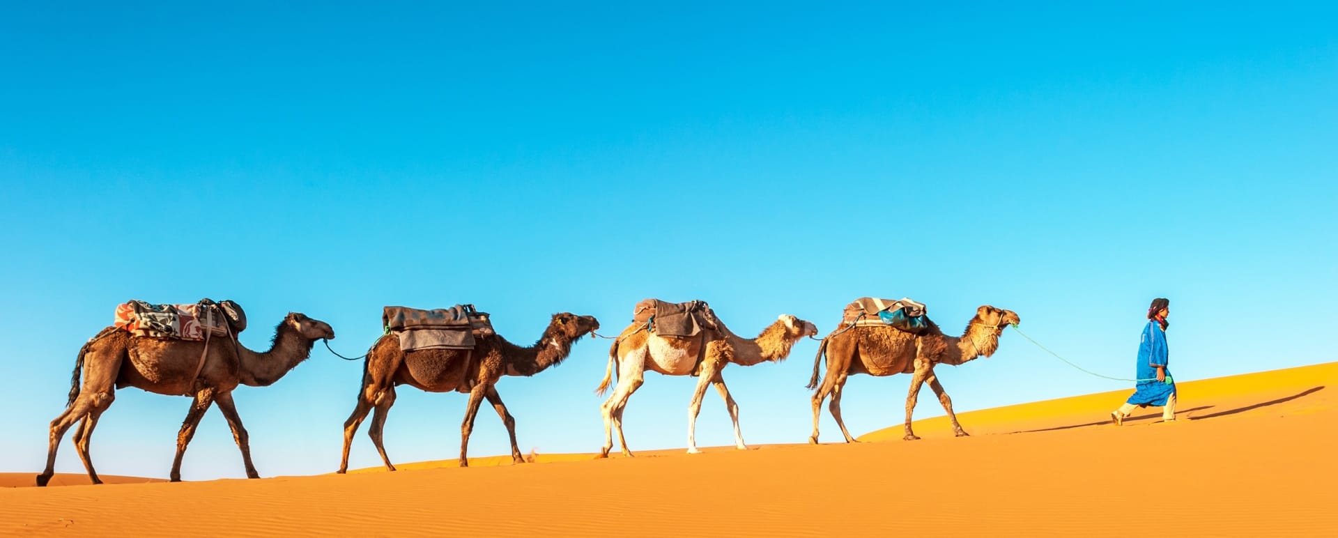Moroccan Desert