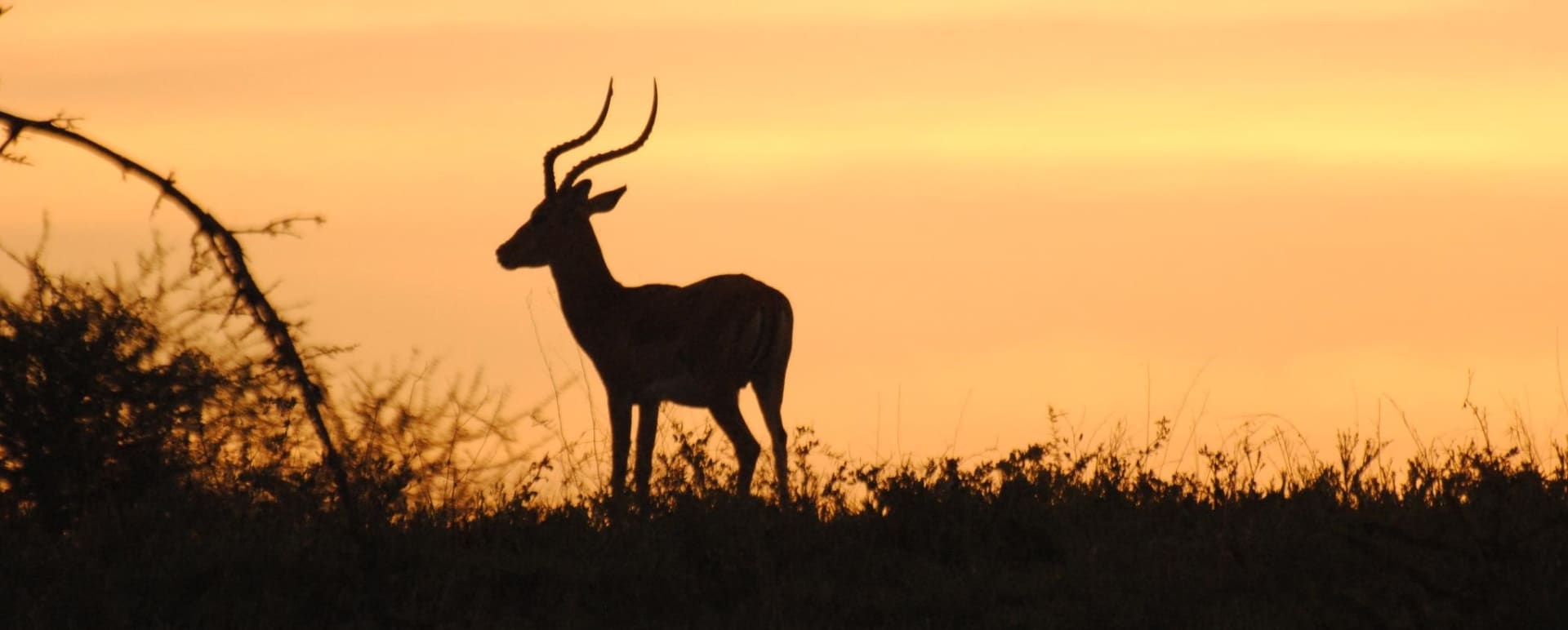 Selous and southern Tanzania