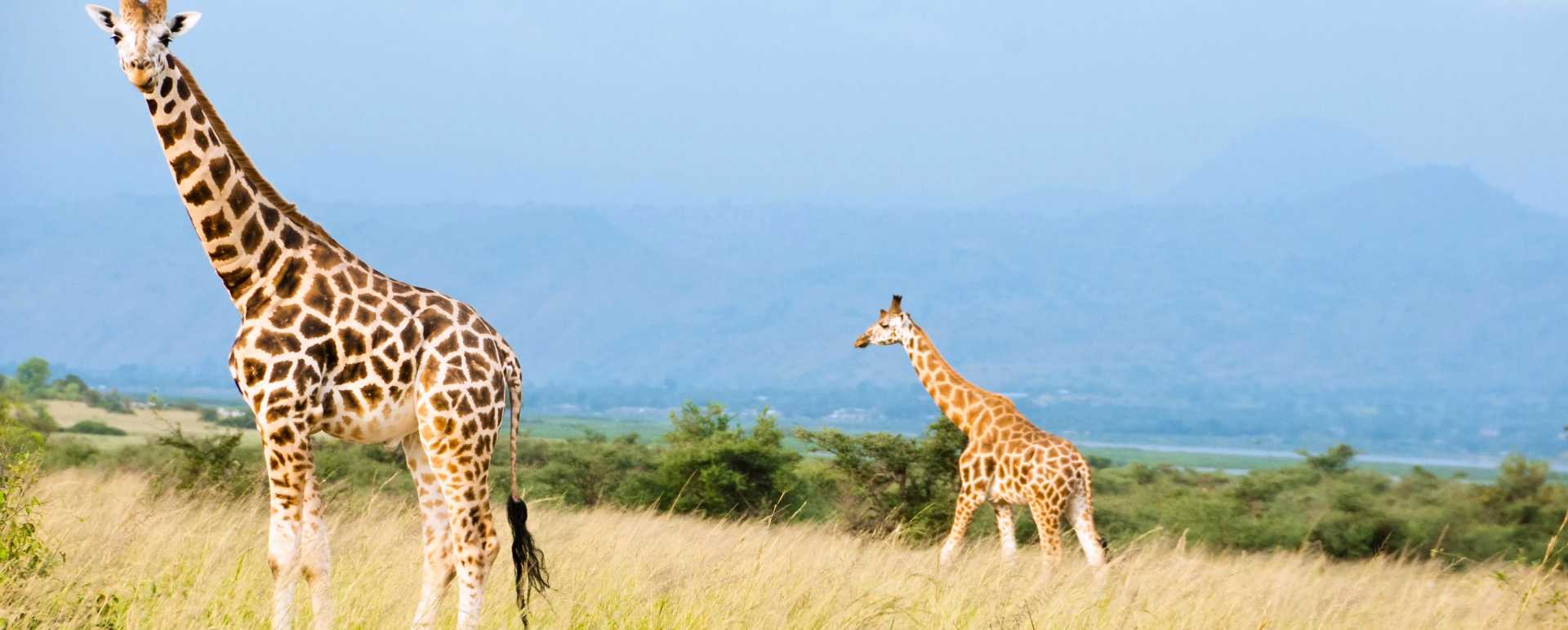Kidepo National Park