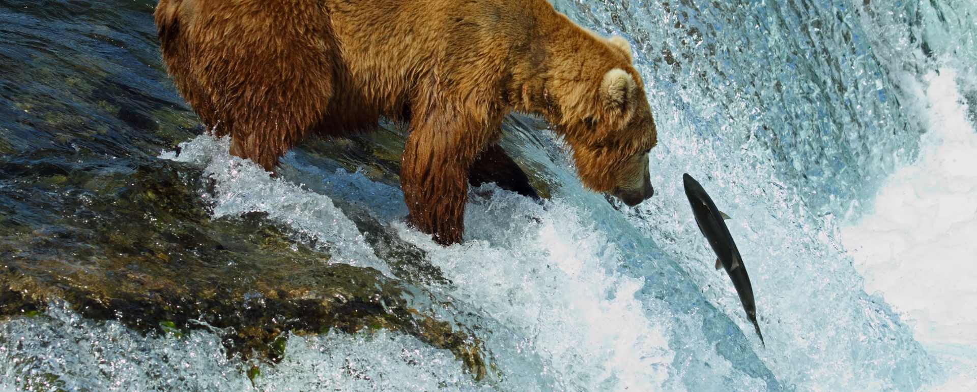 Alaska