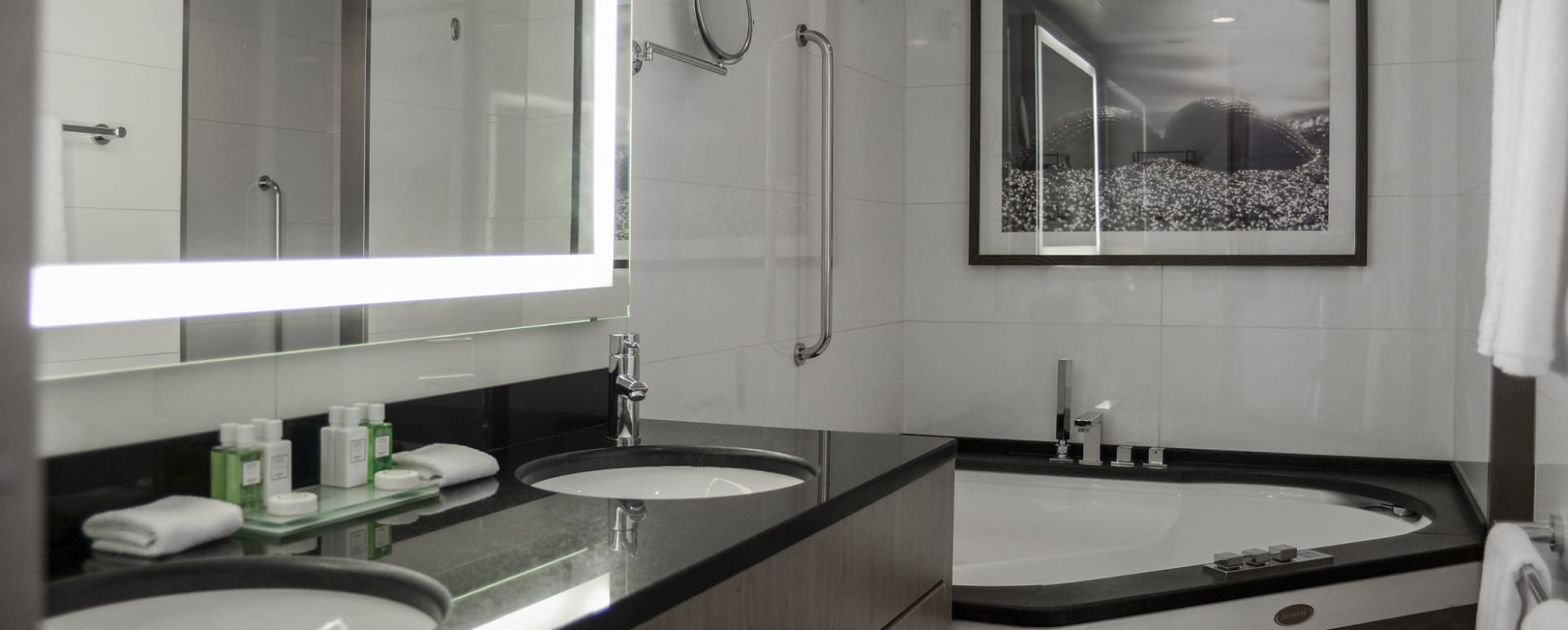 Suite Bathroom 