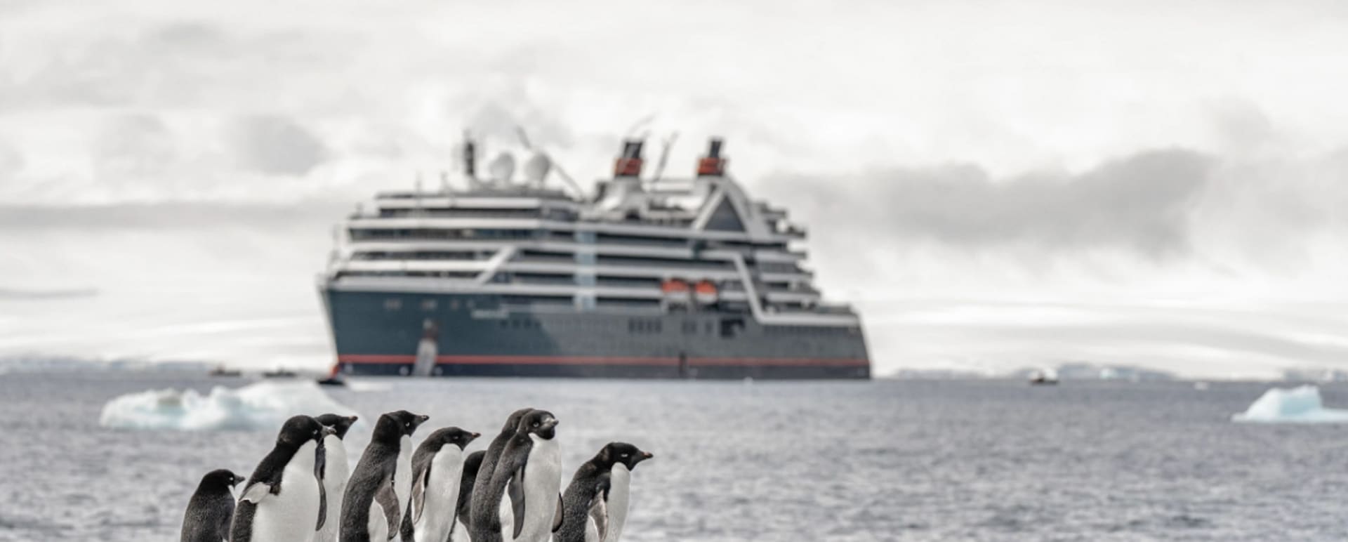 Venture Penguin 
