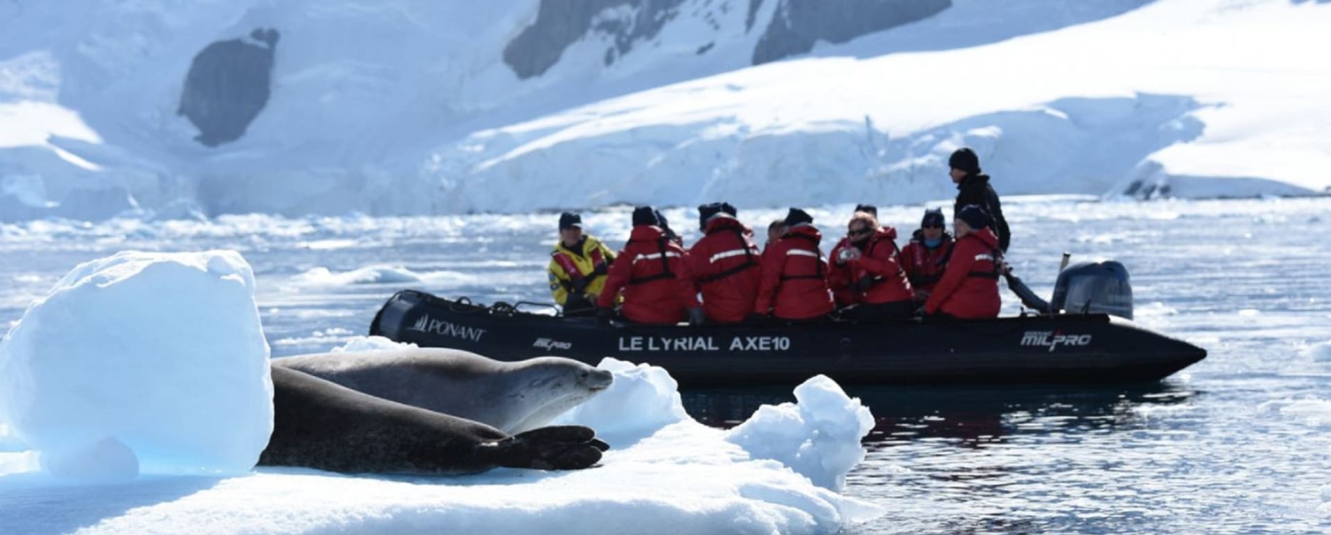 Kayak and wildlife 