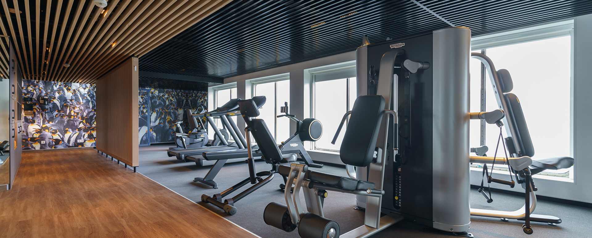 Gym 