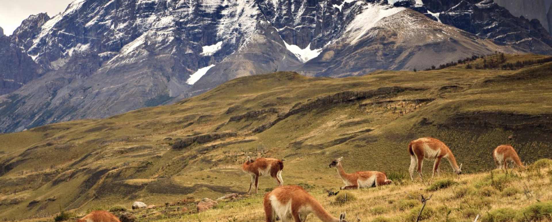 Southern Patagonian landscapes   