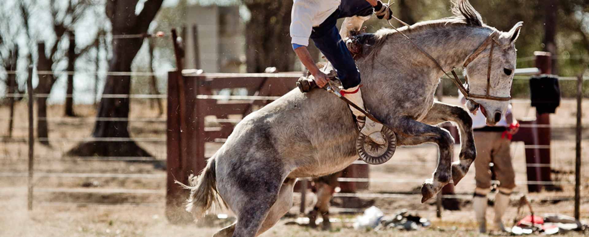 Gauchos at work - Estancia El Colibri