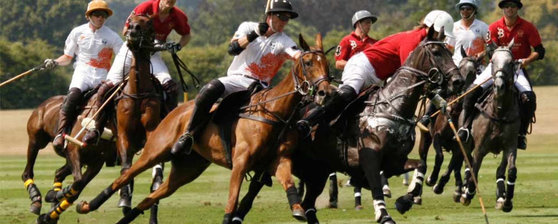 Polo - Estancia La Bamba
