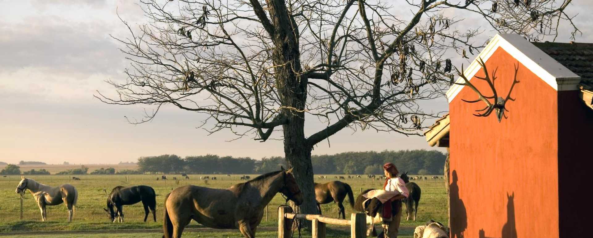 Saddling up the horses - Estancia La Bamba