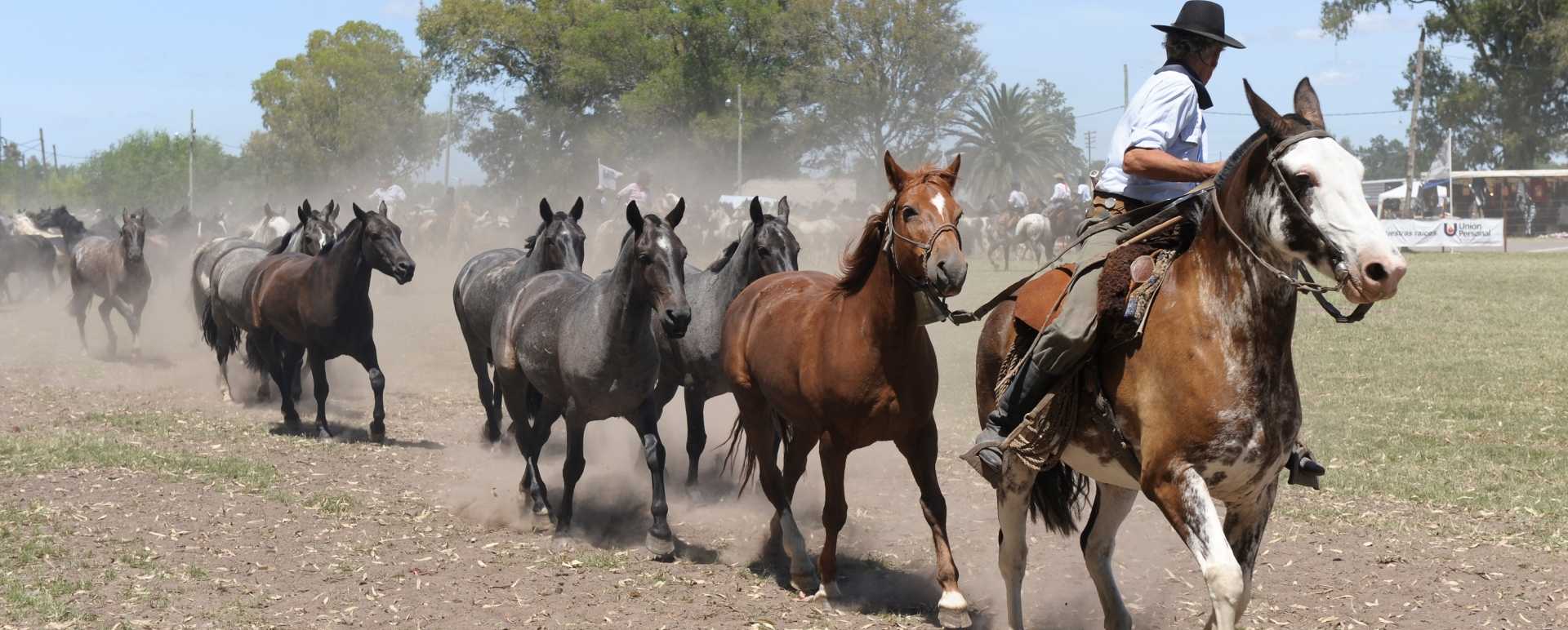 Gaucho lifestyle 