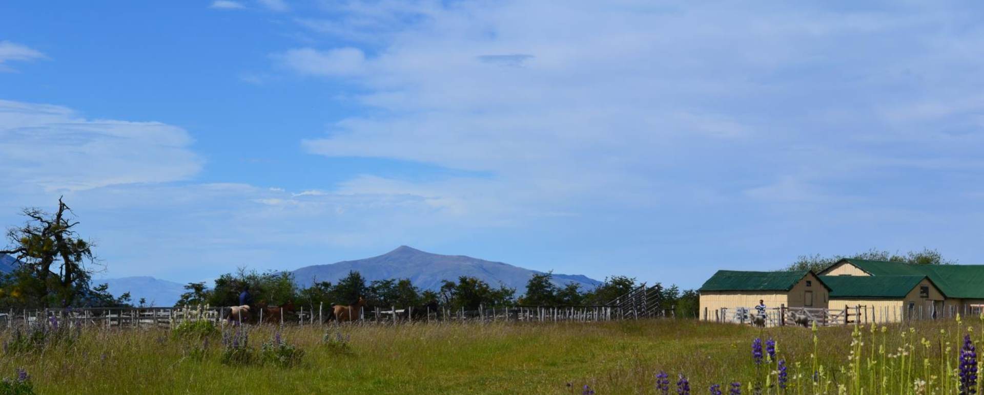 Scenic view - Estancia Nibepo Aike